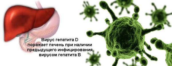 вирус гепатита д