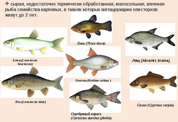 факторы передачи