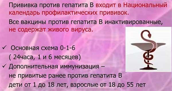 схема вакцинации