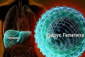вирус гепатита В
