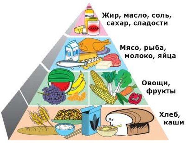 пищевая пирамида
