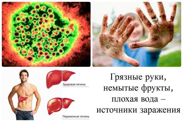 источники заражения