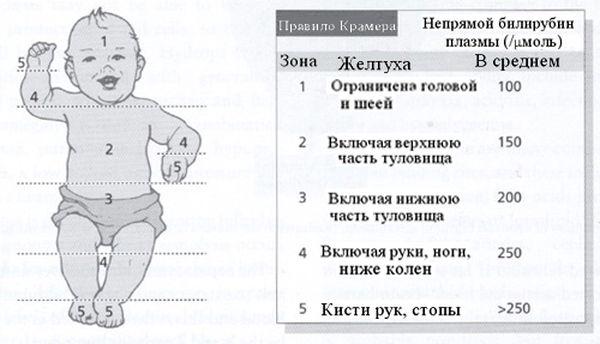 правило Крамера