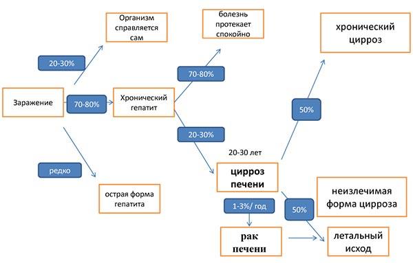 развитие гепатита с