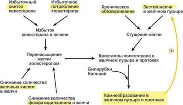 нарушение желчеобразования