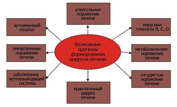 причины цирроза печени