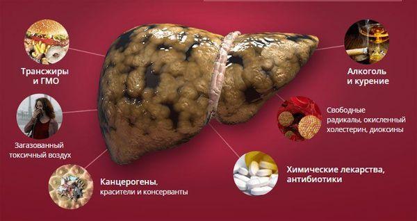 интоксикация печени