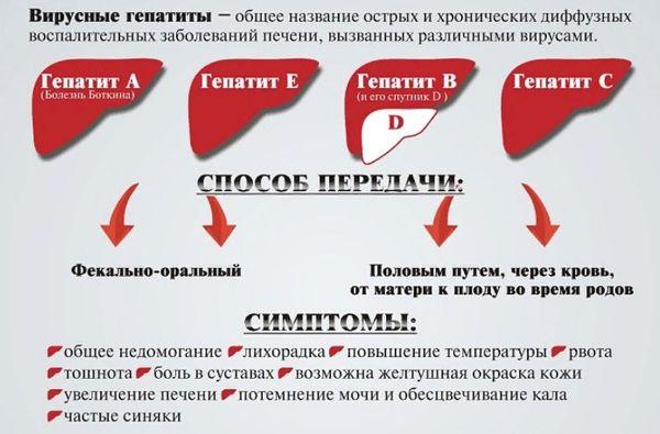 гепатиты