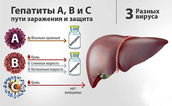 пути заражения гепатитом