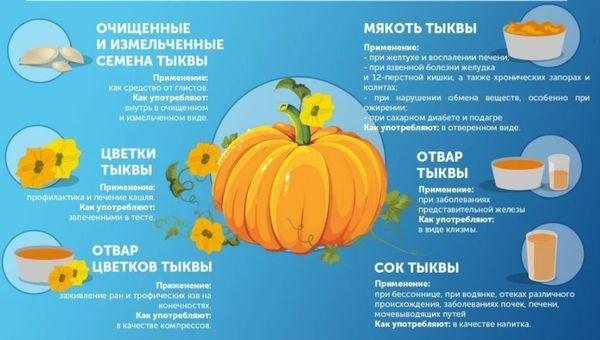 полезные свойства тыквы