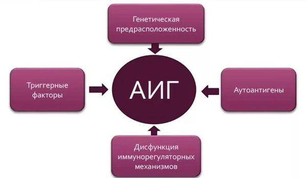 этиология аутоиммунного гепатита.