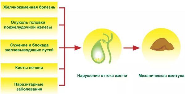 причины желтухи