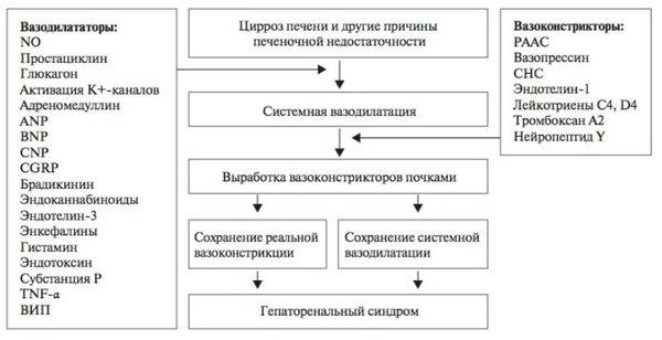 схема развития синдрома