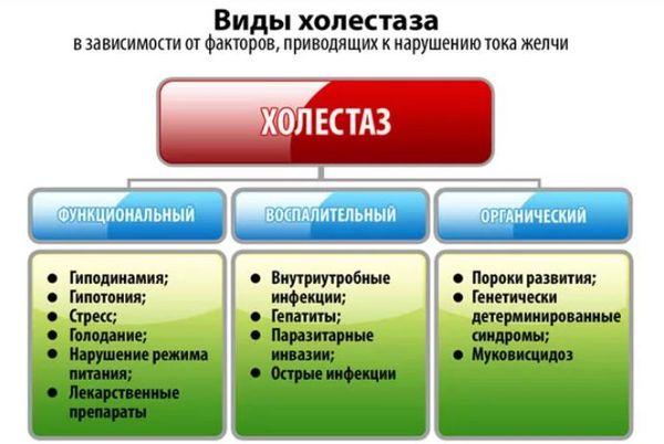 виды холестаза