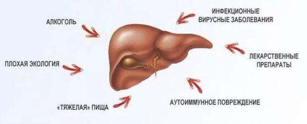 факторы, повреждающие печень
