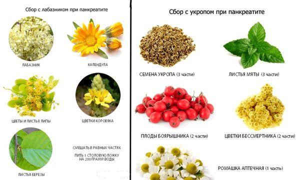 сборы при панкреатите