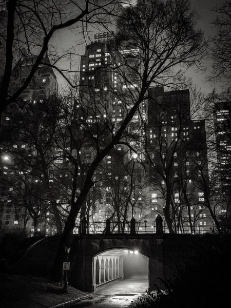 15 крутых снимков с премии iPhone Photography Awards 2025 &mdash; эстетика в объективе смартфонов
