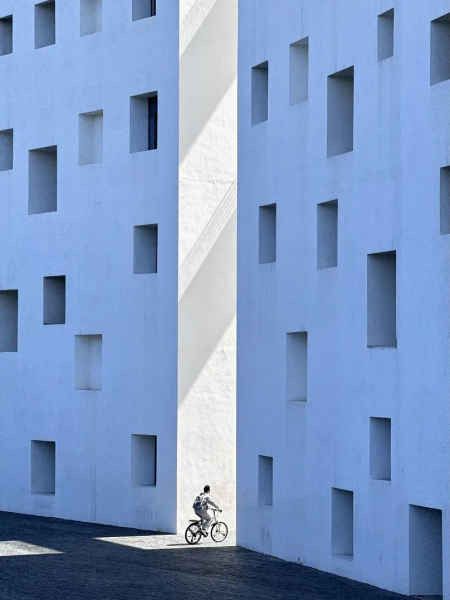 15 крутых снимков с премии iPhone Photography Awards 2025 &mdash; эстетика в объективе смартфонов