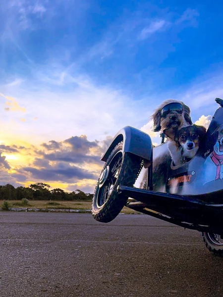 15 крутых снимков с премии iPhone Photography Awards 2025 &mdash; эстетика в объективе смартфонов