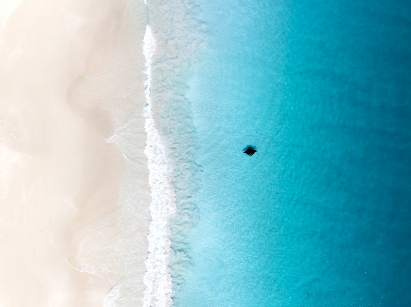 18 красивых фото морских существ с конкурса Ocean Photographer of the Year&nbsp;2025