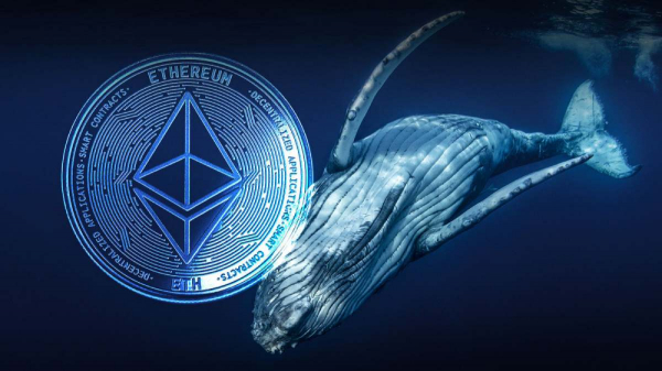 
                    BitMine купила эфириумы на дне, пока трейдеры несли убытки                