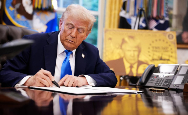 
                    В Индии заявили о &laquo;шоке&raquo; для бизнеса из-за визовых реформ Трампа
                