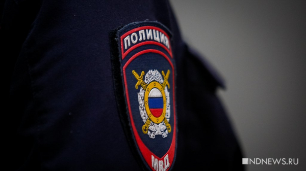 На Камчатке женщина пришла подавать заявление в полицию и украла телефон