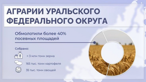 В УрФО собрано почти 3 млн тонн зерна и 165 тысяч тонн картошки