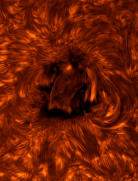 Солнечная бездна и огромная комета: 20 лучших фото с Astronomy Photographer of the Year&nbsp;2025