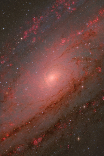 Солнечная бездна и огромная комета: 20 лучших фото с Astronomy Photographer of the Year&nbsp;2025