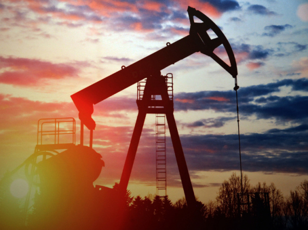Стали известны требования США к Индии по российской нефти