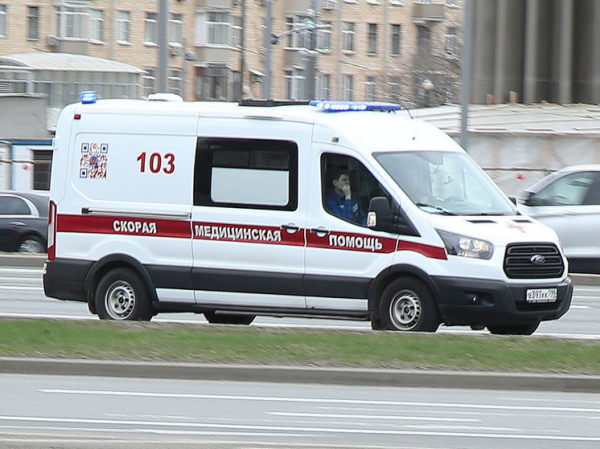 В элитном российском поселке бойцовский пес съел ухо малышу