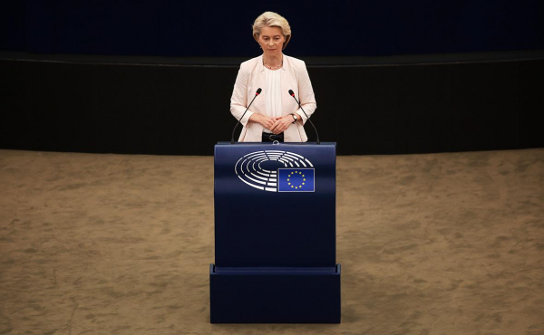 
                    Почему фон дер Ляйен угрожает сразу два вотума недоверия в Европарламенте
                