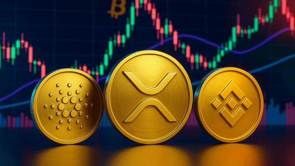 
                    Вслед за биткоином растут Cardano, XRP, BNB и новый мемкоин                