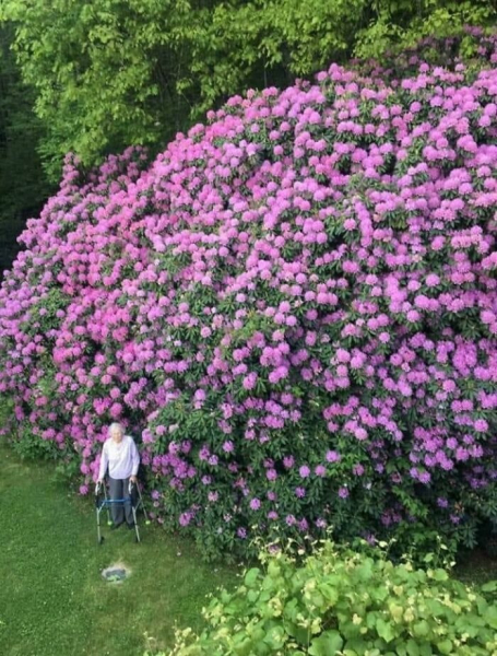 Человек-линейка: 20 фото из Сети, которые заставят пересмотреть представления о размерах
