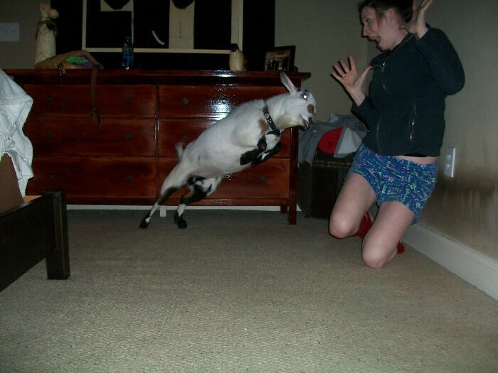 За секунду до: 20 фото из Сети, на которых что-то пошло не&nbsp;так