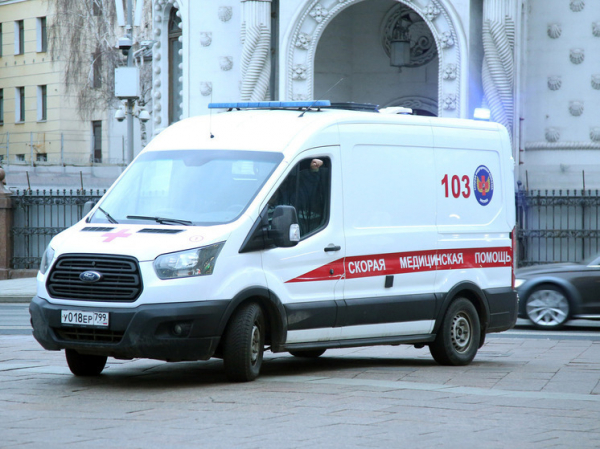 Жители пятиэтажки в Балашихе подверглись нашествию мигрировавших из подвала блох