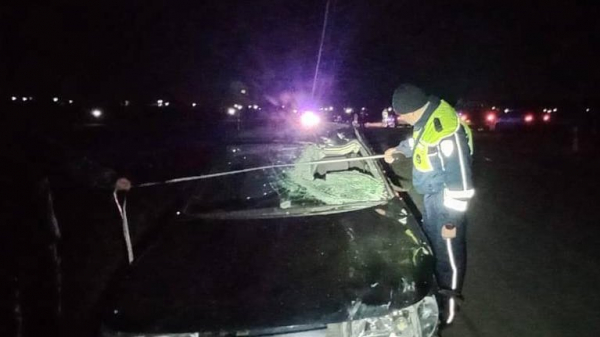 В Ирбитском районе водитель сбил трех подростков-пешеходов, один из них погиб (ФОТО)
